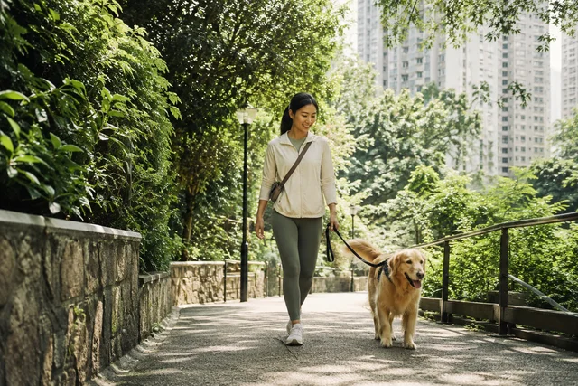 Editorial scene for pet sitting services