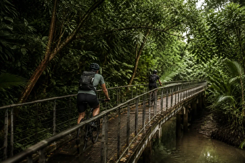 Cyclists crossing a narrow bridge through Malaysian mangrove greenery