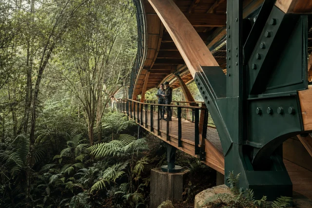 Engineers reviewing the timber and steel structure of a pedestrian bridge beside a fern garden